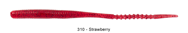 AJICARSWAMP310